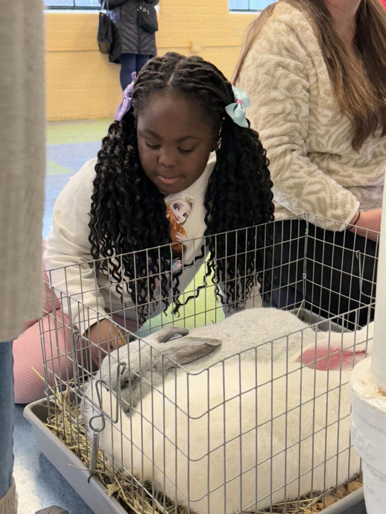 Hug A Bunny at Providence Children’s Museum
