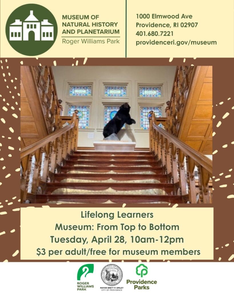 Lifelong Learners: Museum: Top to Bottom