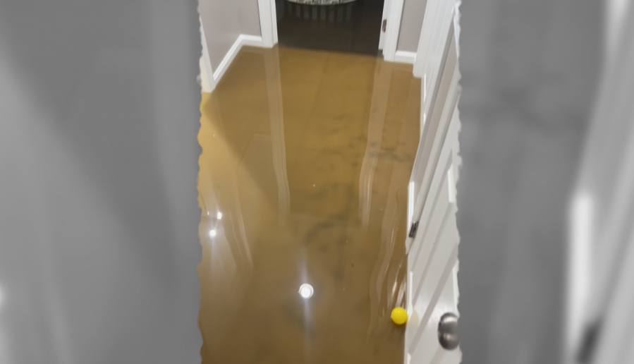 East Providence family displaced after sewage backup floods basement